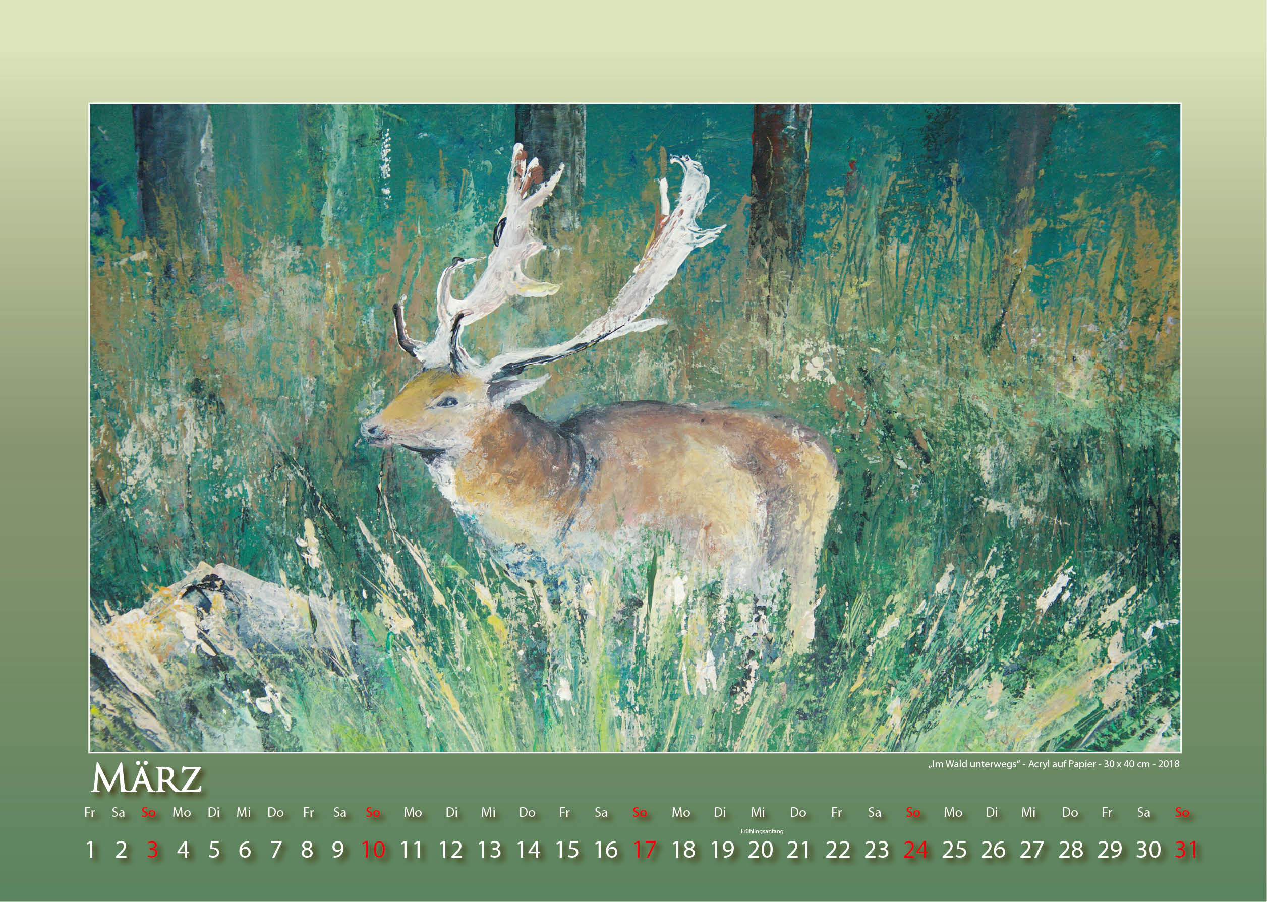 Tierische Einsichten - 2019 - Kalender - Foto und Design: © Katharina Hansen-Gluschitz
