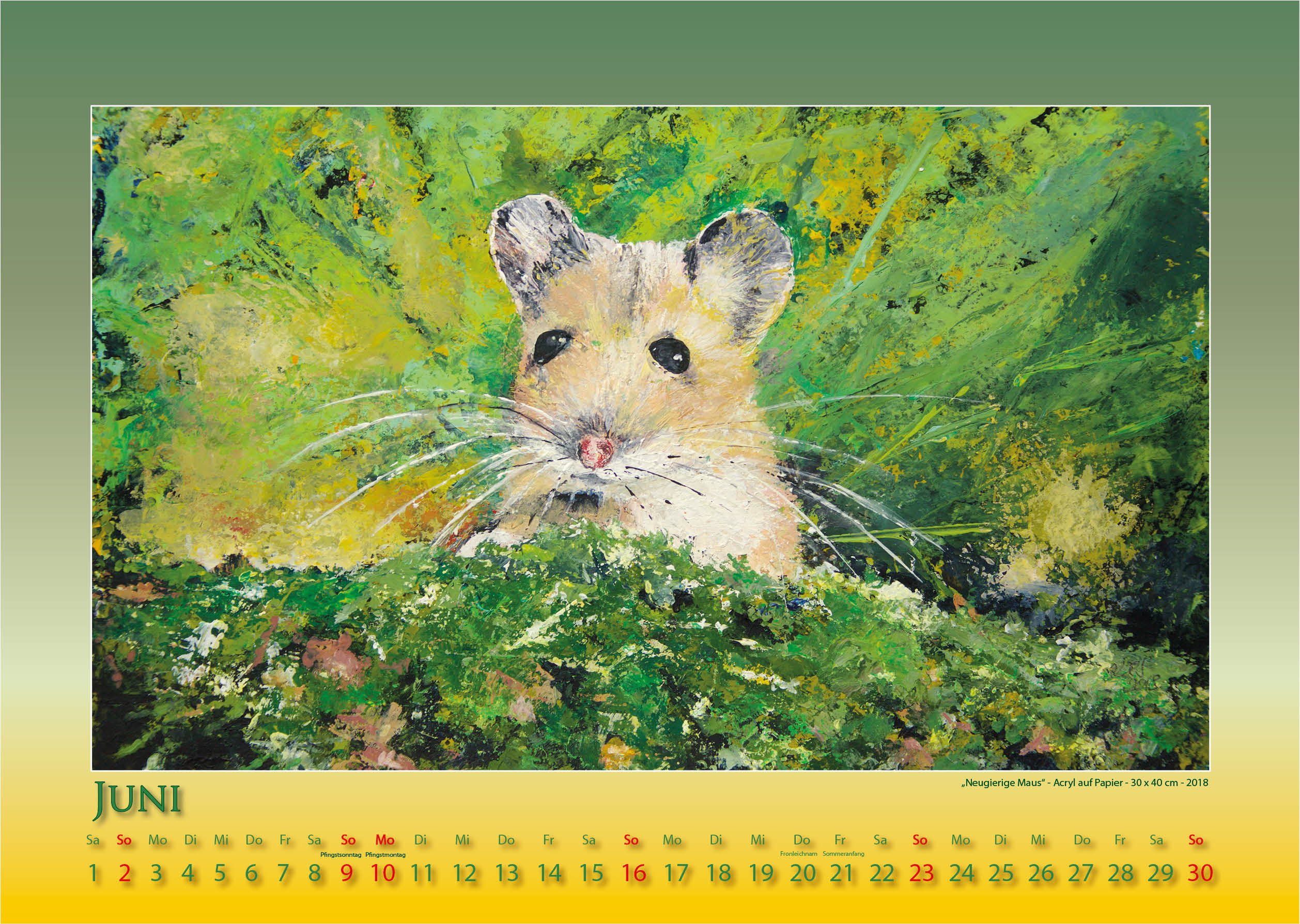 Tierische Einsichten - 2019 - Kalender - Foto und Design: © Katharina Hansen-Gluschitz